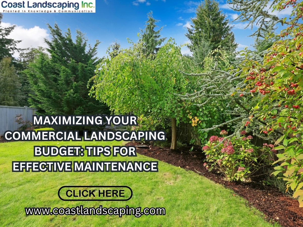 Maximizing Your Commercial Landscaping Budget Tips for Effective Maintenance
