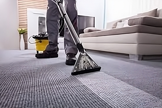 Rug Renewal: Top-tier Carpet Cleaning Services