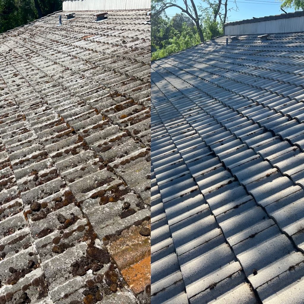 roof cleaning portland